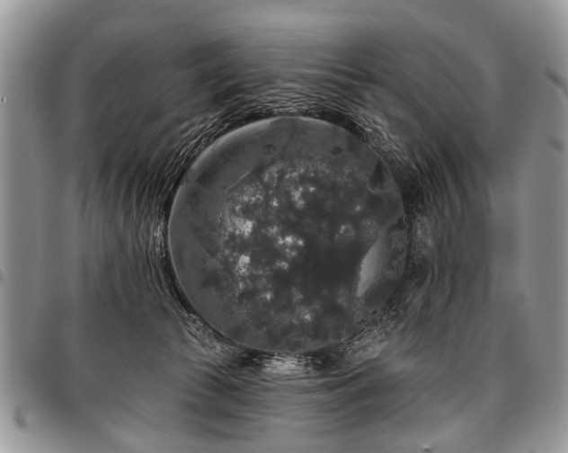 X0000097490177200802291441