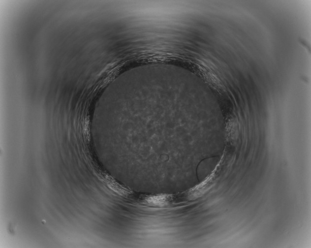 X0000097490178200802291441