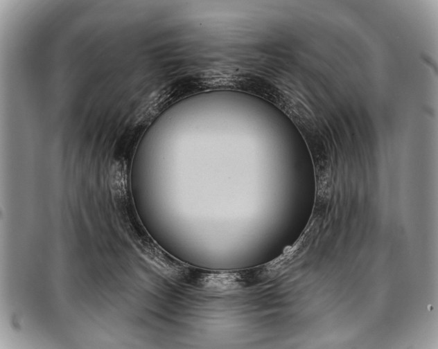 X0000097490179200802291441