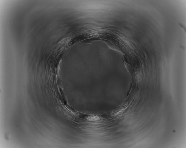 X0000097490181200802291441