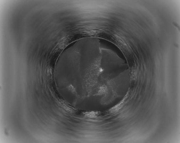 X0000097490182200802291441