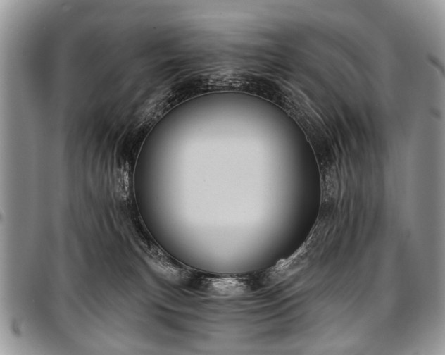 X0000097490183200802291441