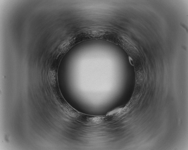 X0000097490184200802291441