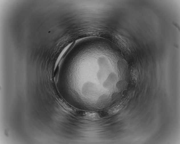 X0000097490185200802291441