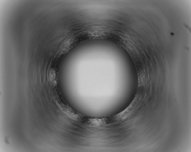 X0000097490187200802291441