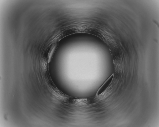 X0000097490188200802291441