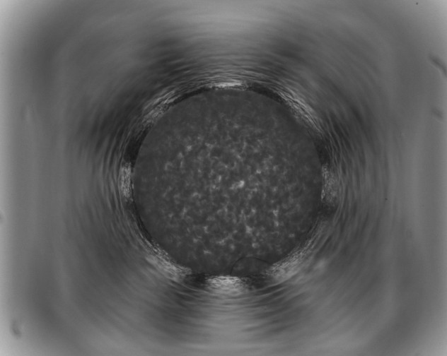 X0000097490189200802291441