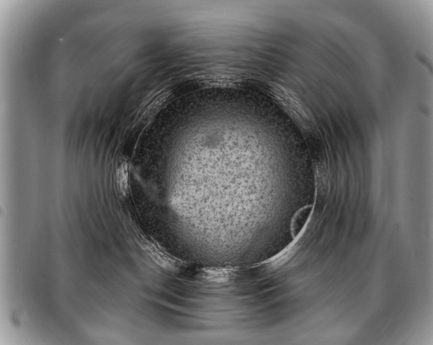 X0000097490190200802291441