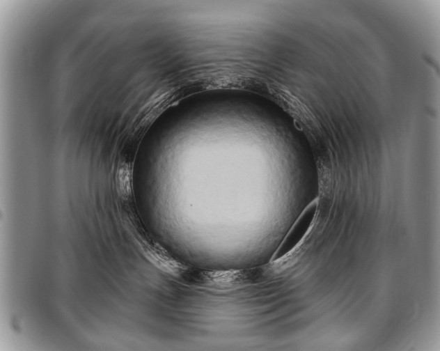 X0000097490191200802291442