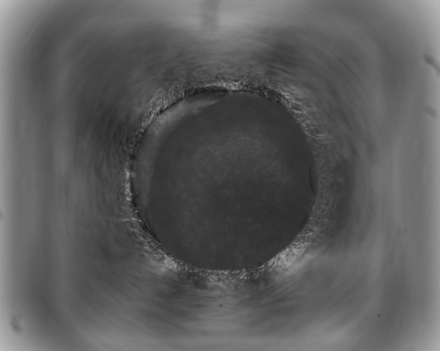 X0000097490192200802291442