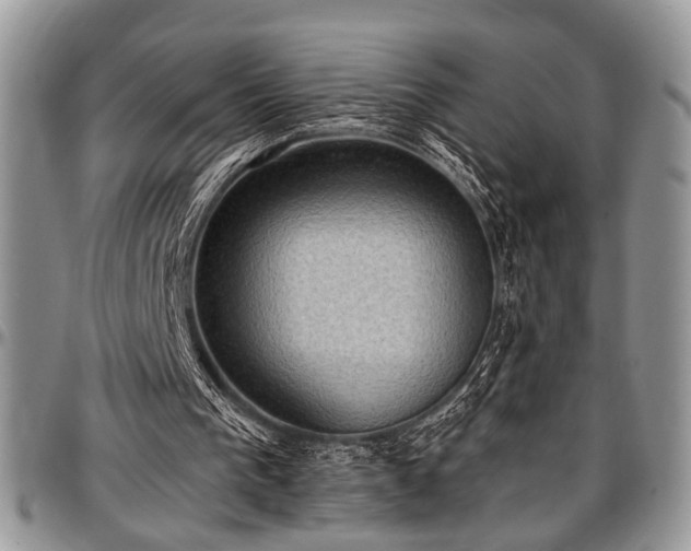 X0000097490193200802291441