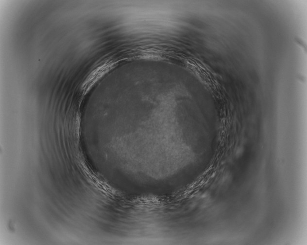 X0000097490194200802291441