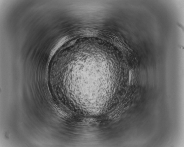 X0000097490195200802291441