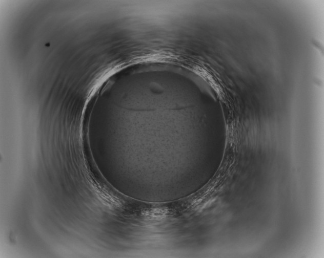 X0000097490196200802291441