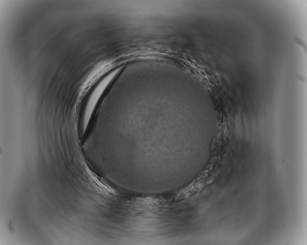 X0000097490197200802291441