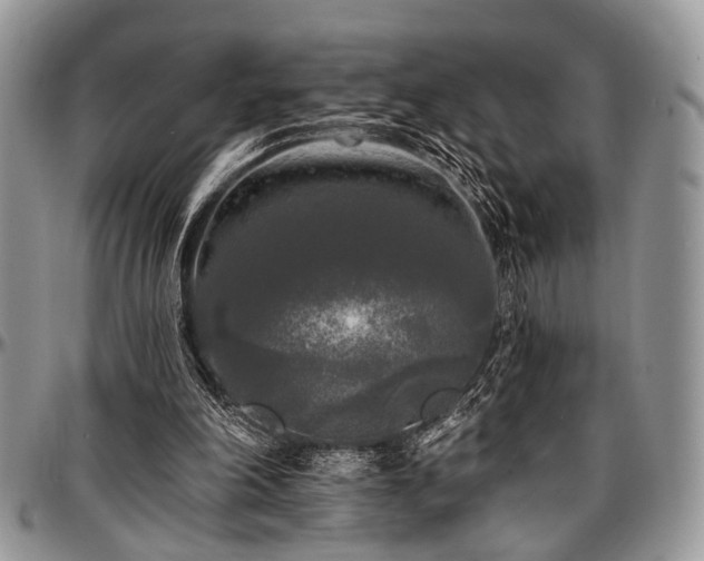 X0000097490198200802291441