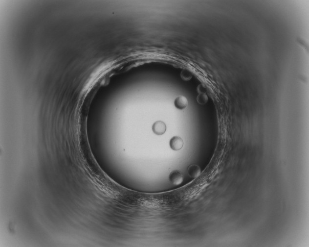 X0000097490199200802291441