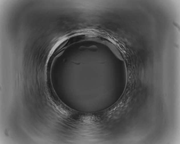 X0000097490200200802291441