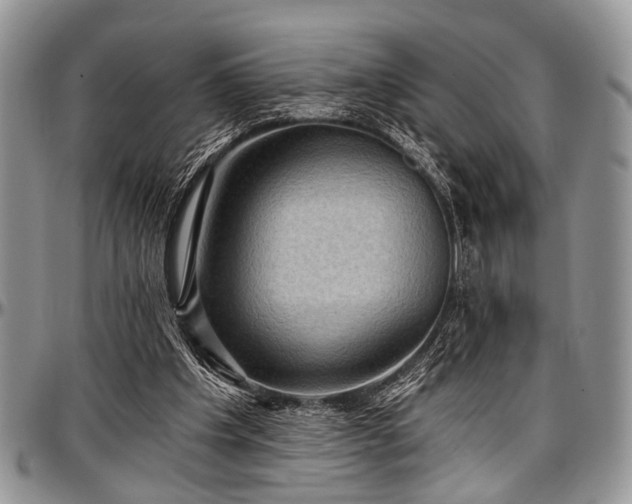 X0000097490201200802291441