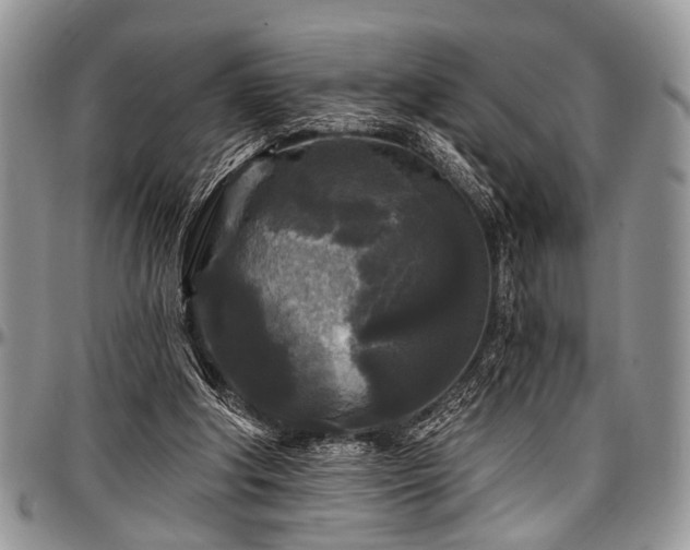 X0000097490202200802291441