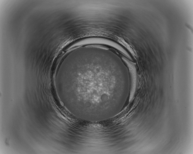 X0000097490203200802291441