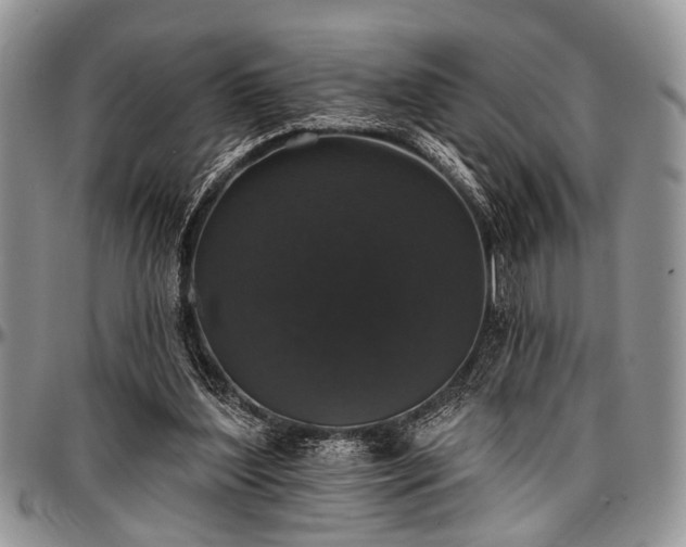 X0000097490204200802291441