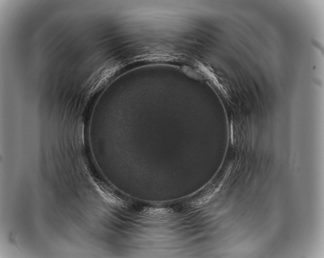 X0000097490205200802291441