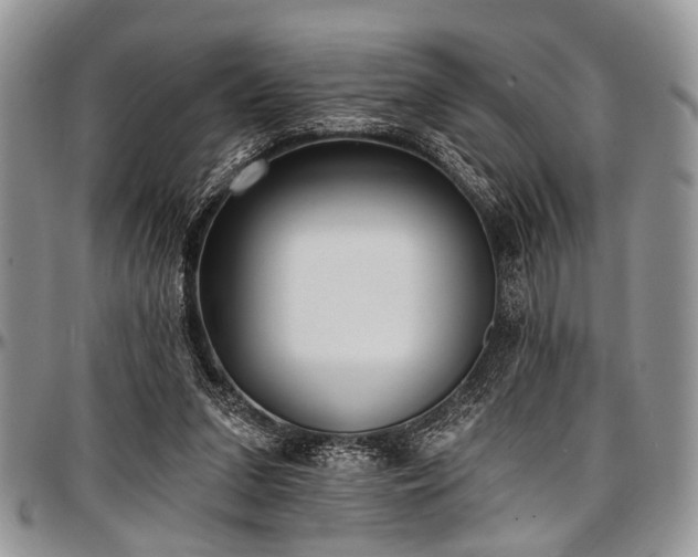 X0000097490207200802291441