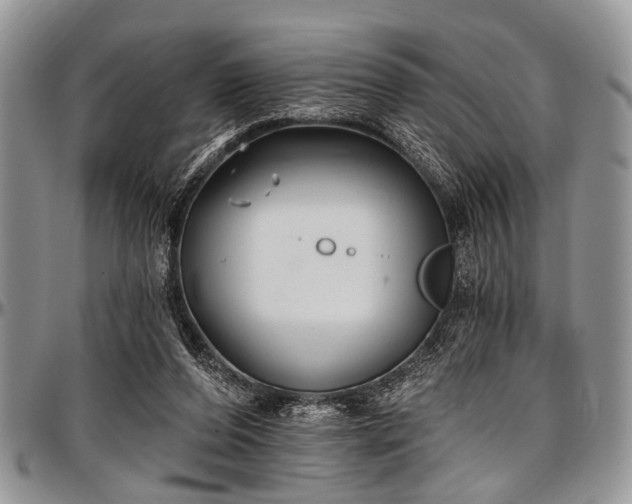 X0000097490208200802291440