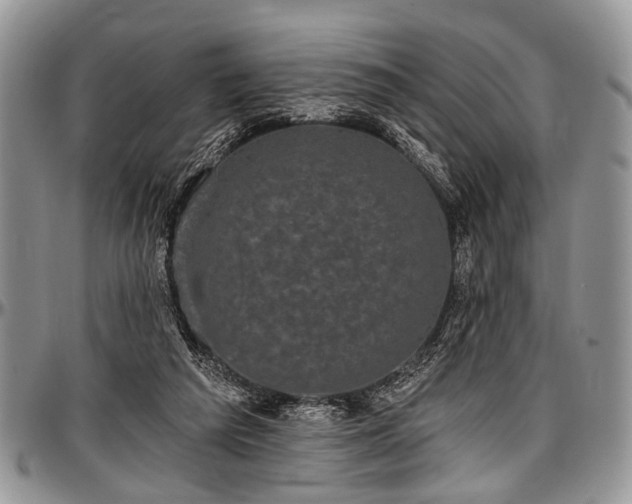 X0000097490209200802291440