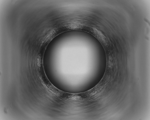 X0000097490210200802291440