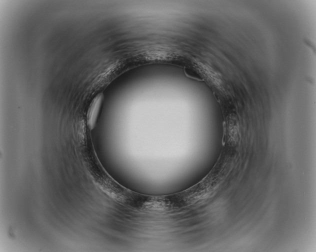 X0000097490211200802291440