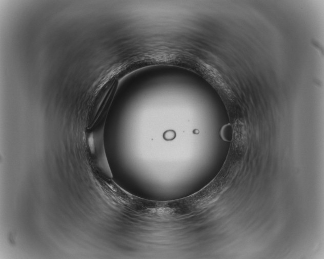 X0000097490212200802291440