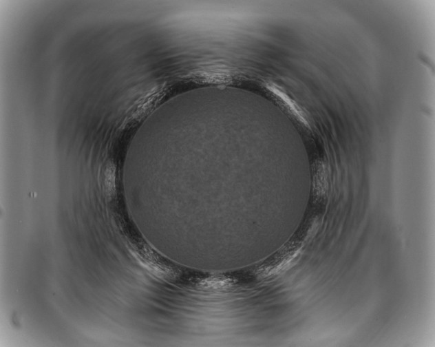 X0000097490213200802291440