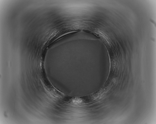 X0000097490214200802291440