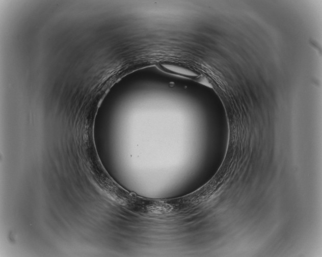 X0000097490215200802291440