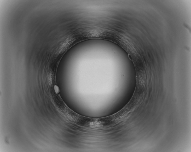 X0000097490216200802291440