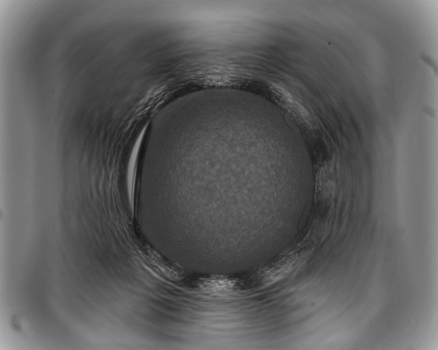 X0000097490217200802291440