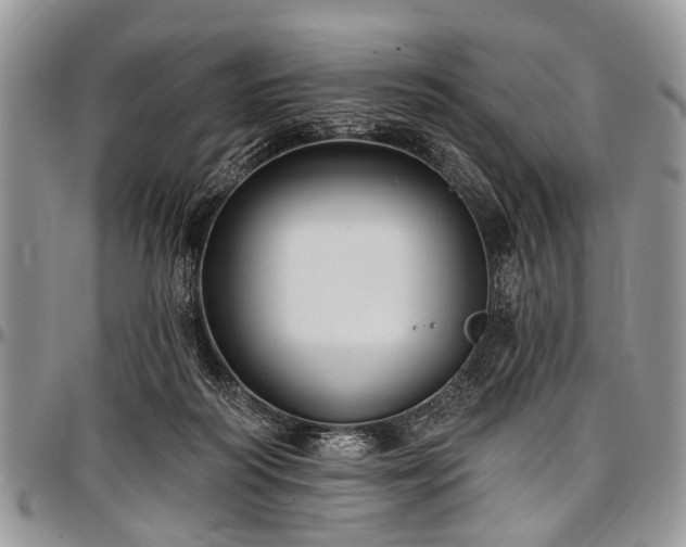 X0000097490218200802291440