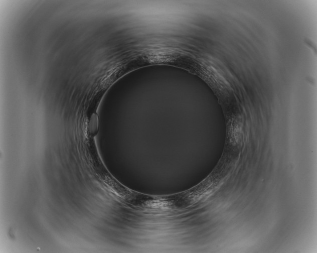 X0000097490219200802291440