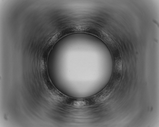 X0000097490220200802291440