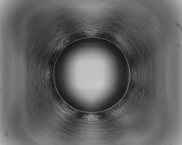 X0000097490221200802291440