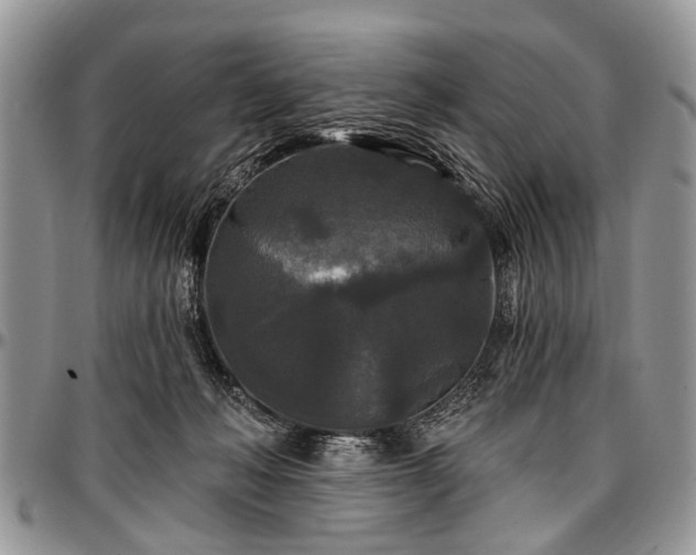 X0000097490222200802291440