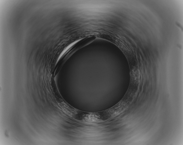 X0000097490223200802291440