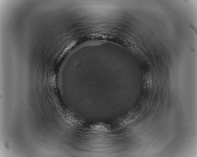 X0000097490224200802291440