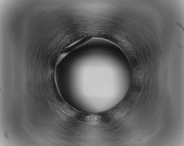 X0000097490225200802291440