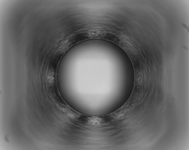 X0000097490226200802291440