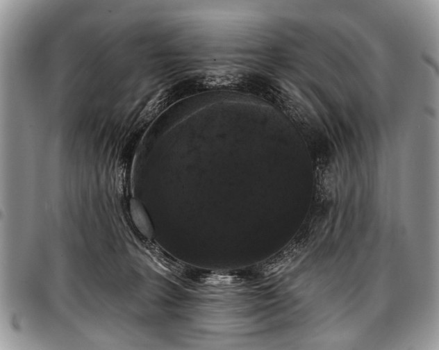 X0000097490227200802291440