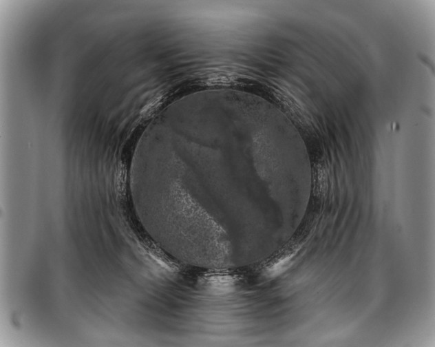 X0000097490228200802291440