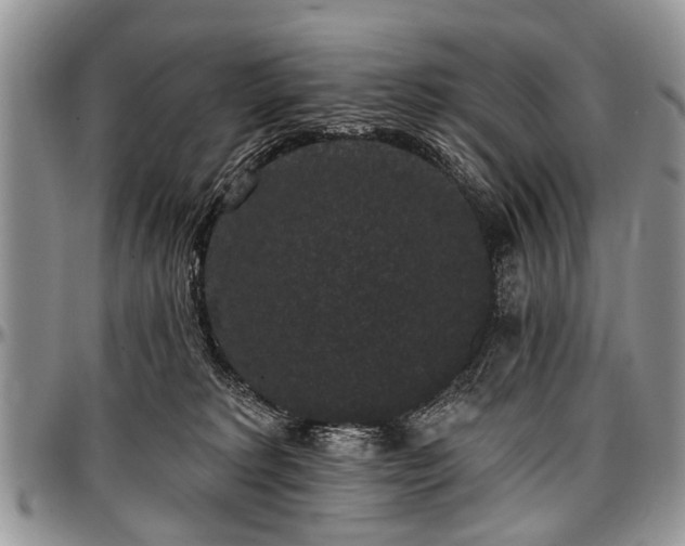 X0000097490229200802291440